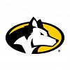 Michigan Technological University